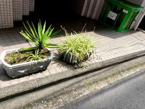 正面玄関