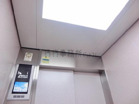 天井の照明
