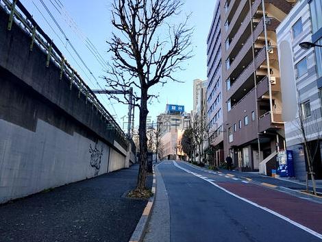 物件周辺