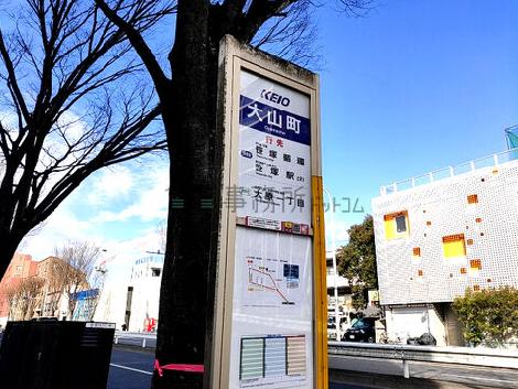 物件周辺