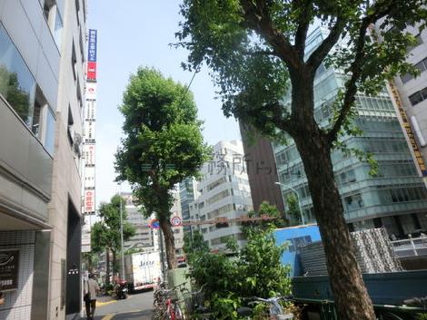 物件周辺