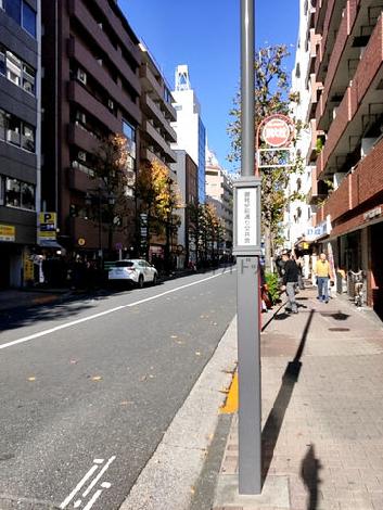 前面歩道の景観