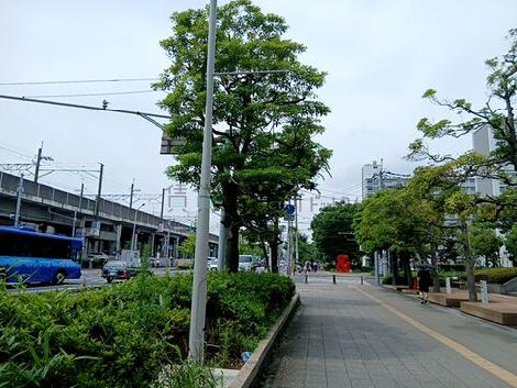 物件周辺