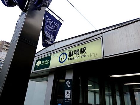物件周辺