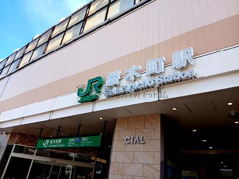 物件周辺