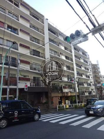 ニュー常盤松マンション 外観写真