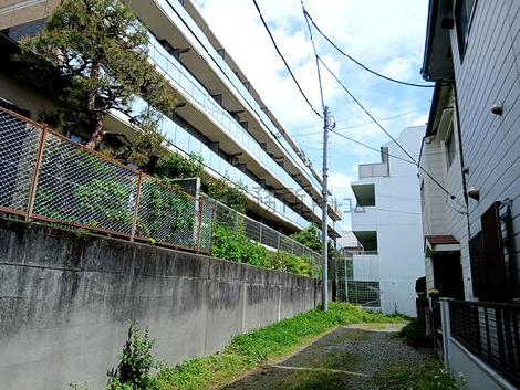 物件周辺