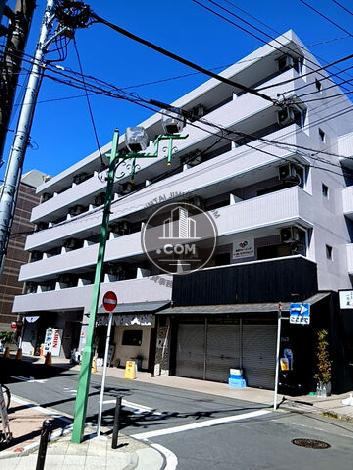 ソリスト綱島 外観写真