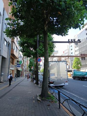 物件周辺