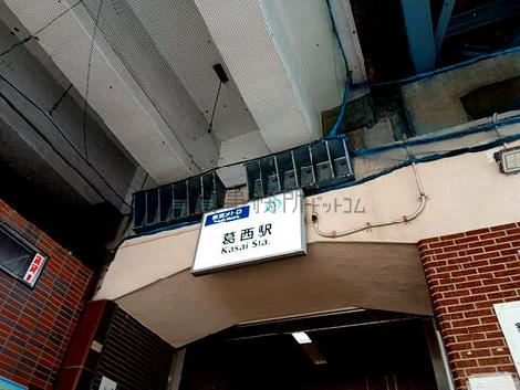 物件周辺
