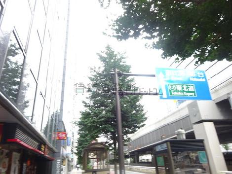 物件周辺