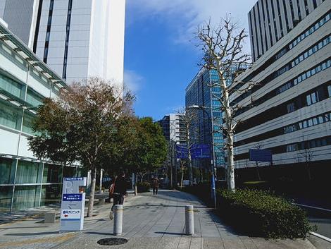 物件周辺