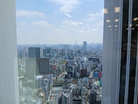 新宿野村ビルの眺望