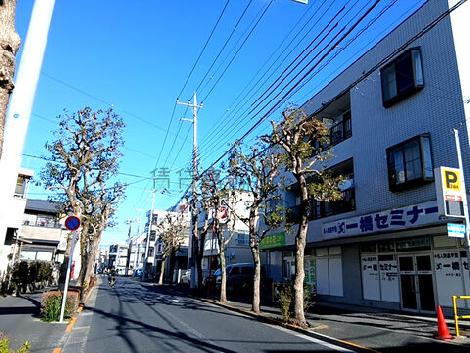 物件周辺