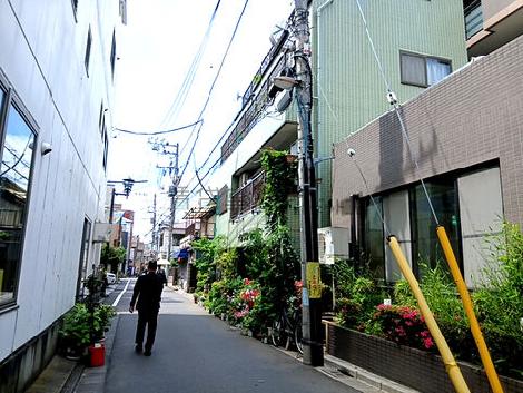 物件周辺