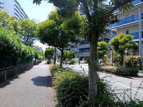 物件周辺