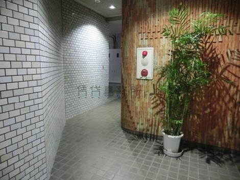 植栽が置かれています