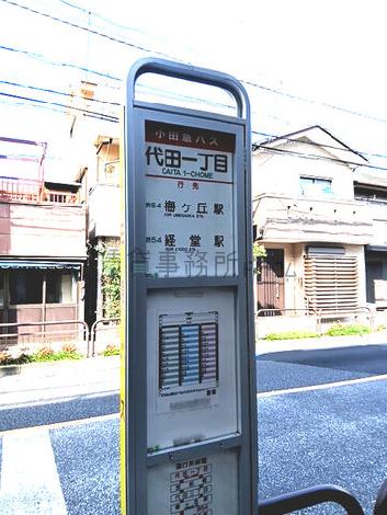 物件周辺