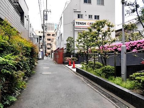 物件周辺
