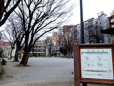 物件周辺