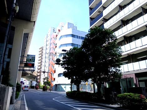 物件周辺