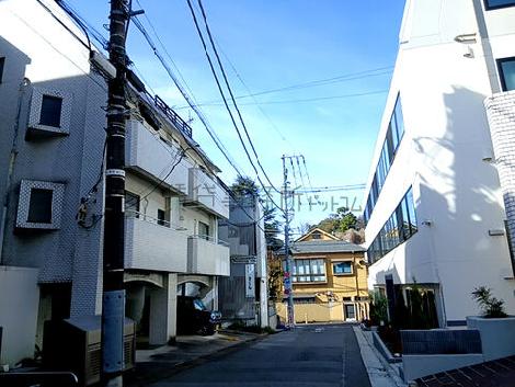 物件周辺