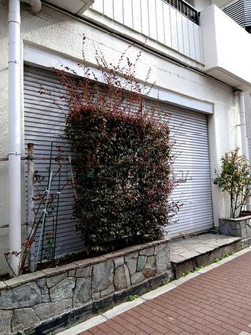 正面玄関