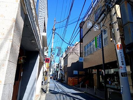 物件周辺