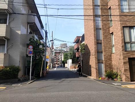 物件周辺