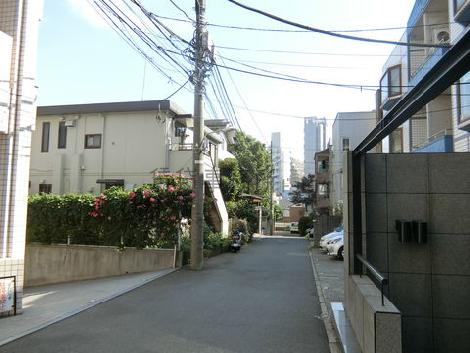 物件周辺