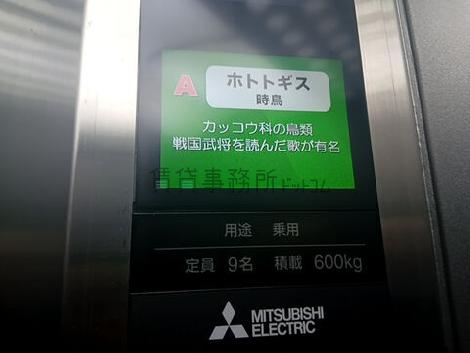 エレベーター