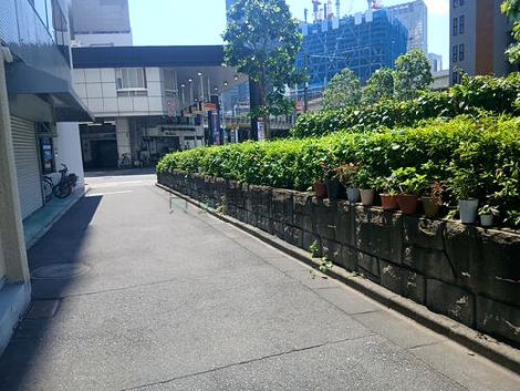 物件周辺
