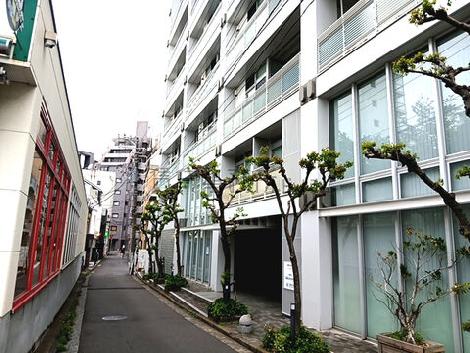 物件周辺
