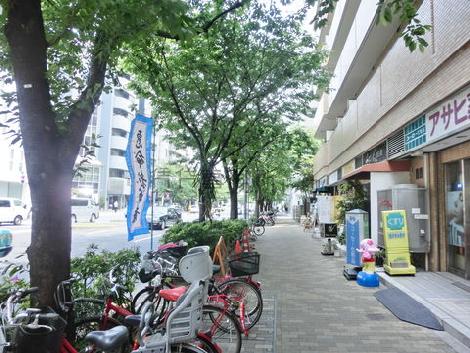 物件周辺