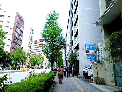 物件周辺