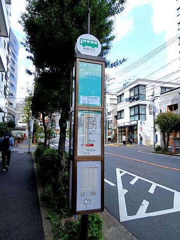 物件周辺
