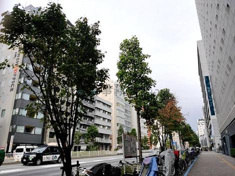 物件周辺