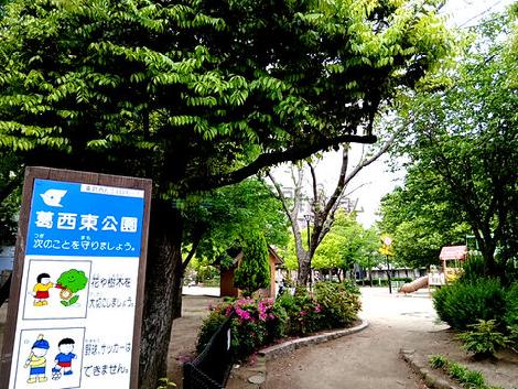 物件周辺