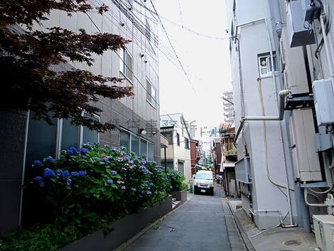 物件周辺