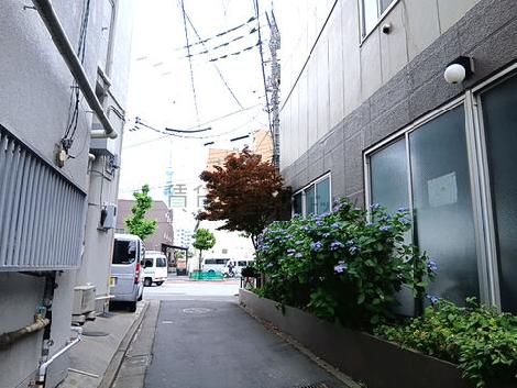 物件周辺