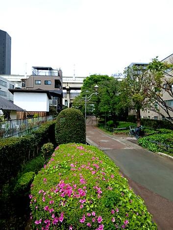 物件周辺