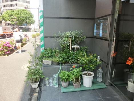 正面玄関