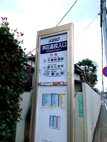 物件周辺