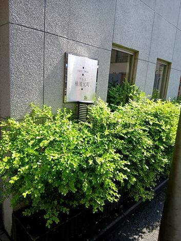 正面玄関