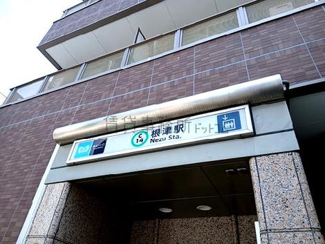 物件周辺