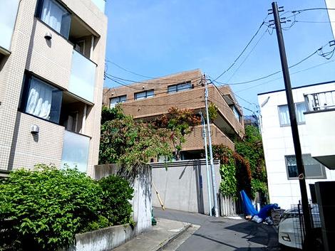 物件周辺