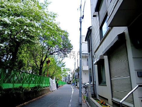 物件周辺