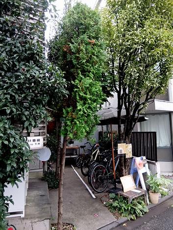 正面玄関