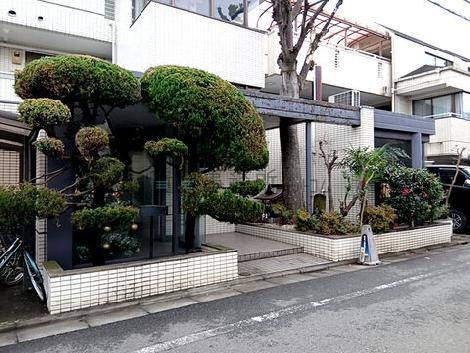 正面玄関
