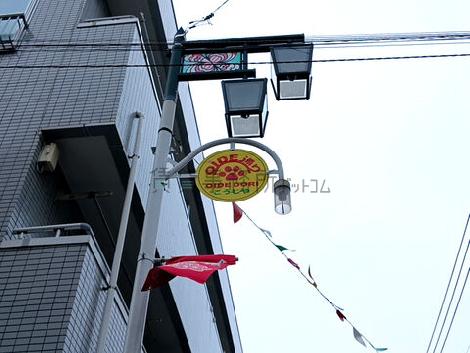 物件周辺